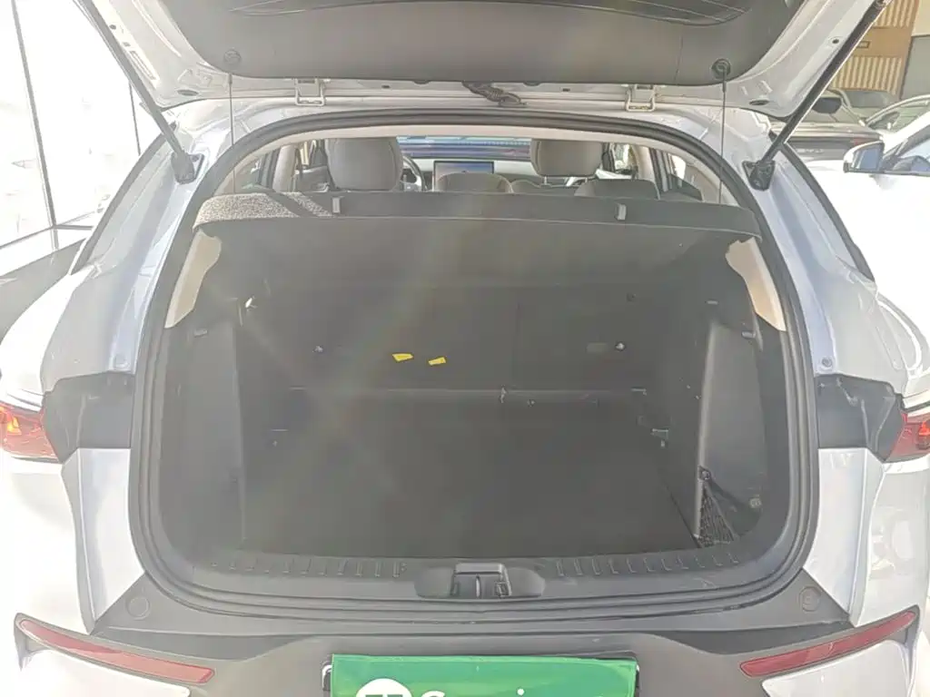 BYD Yuan Plus — миниатюра 19
