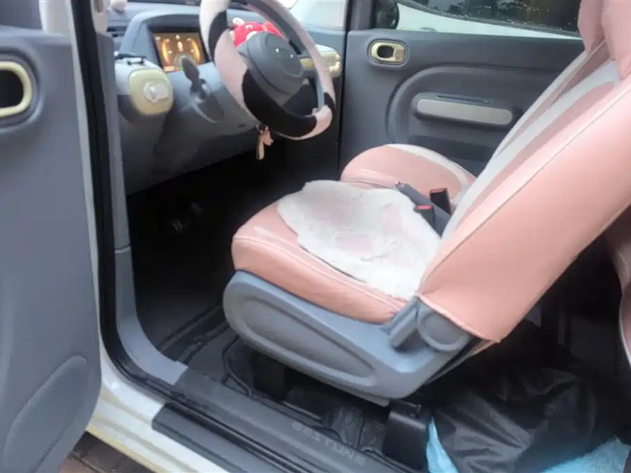 BESTUNE PENTIUM PONY