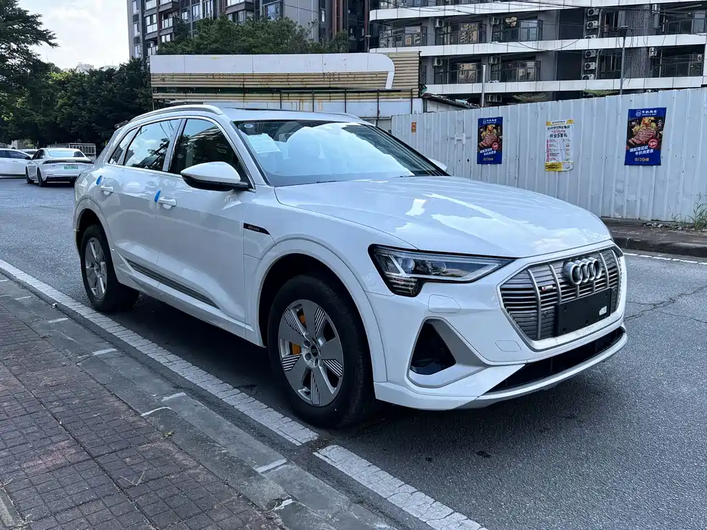 Audi e-tron — миниатюра 3
