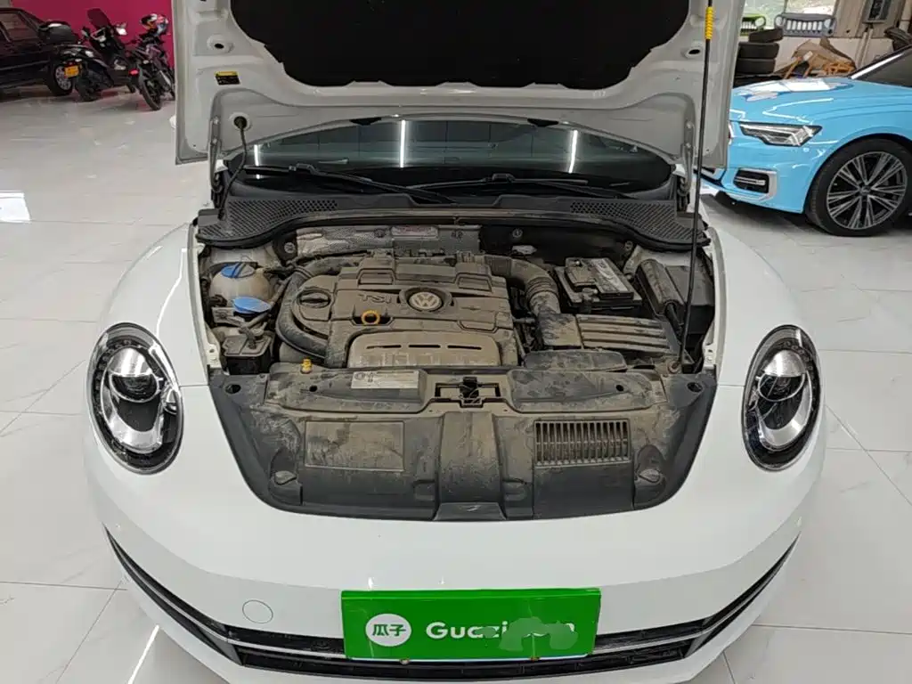 Volkswagen Beetle — миниатюра 20