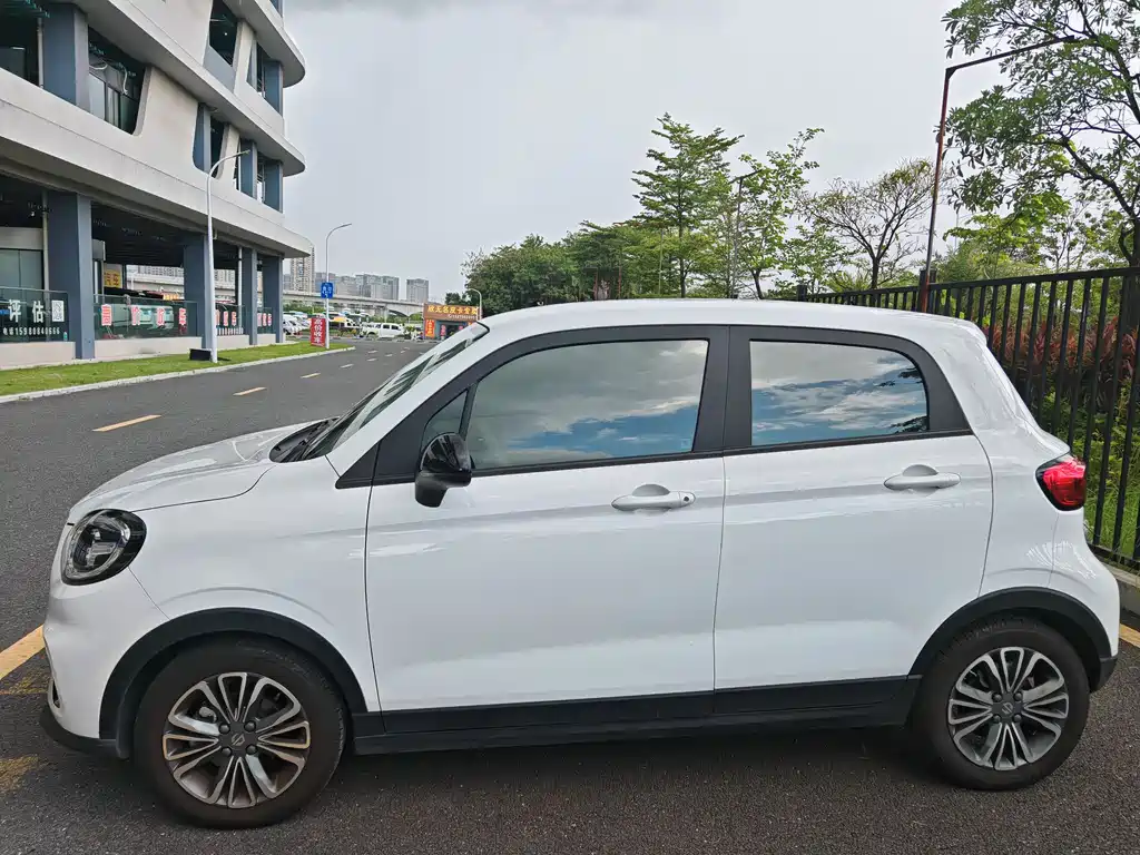 Leapmotor T03 2024 310