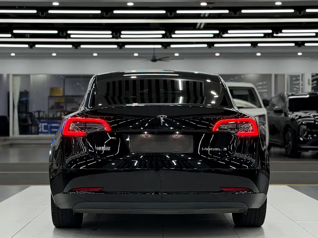 Tesla Model 3 — миниатюра 5
