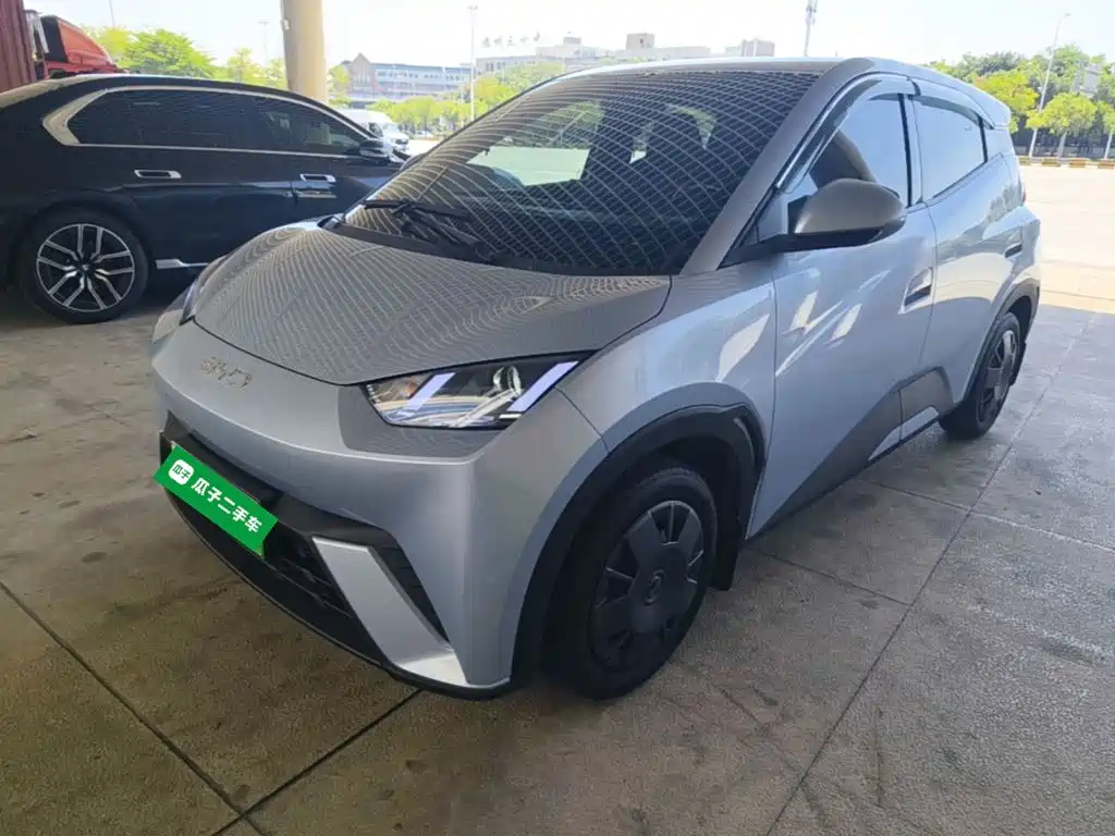 BYD Seagull