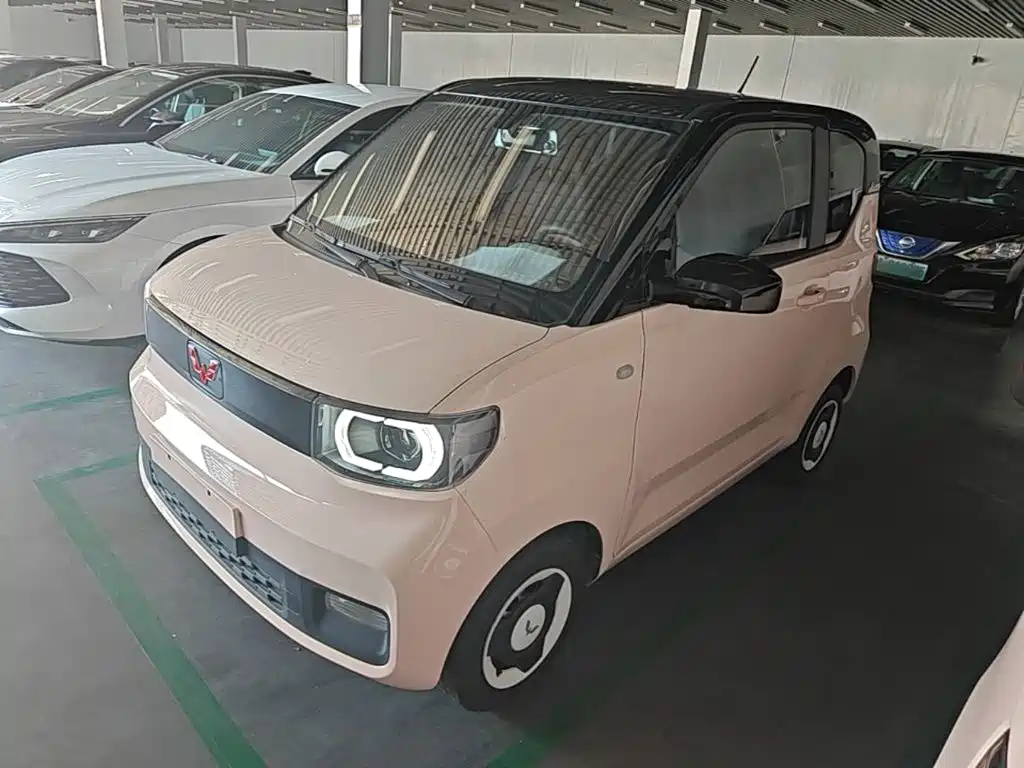 Wuling Mini EV MINIEV 2022 Enjoy