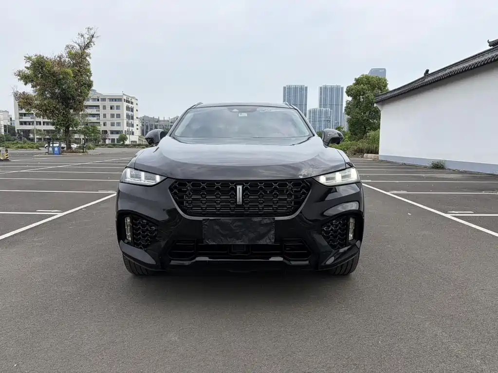 Wey Wey VV7 — миниатюра 2