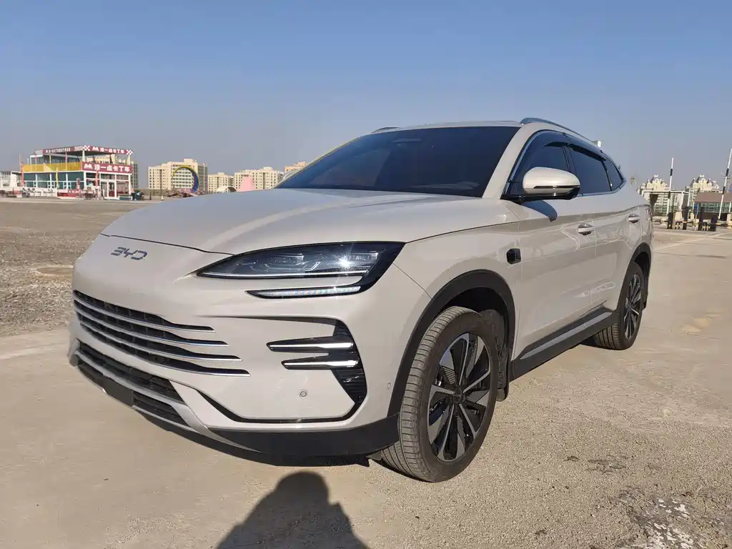 BYD SONGJIANG NEW ENERGY