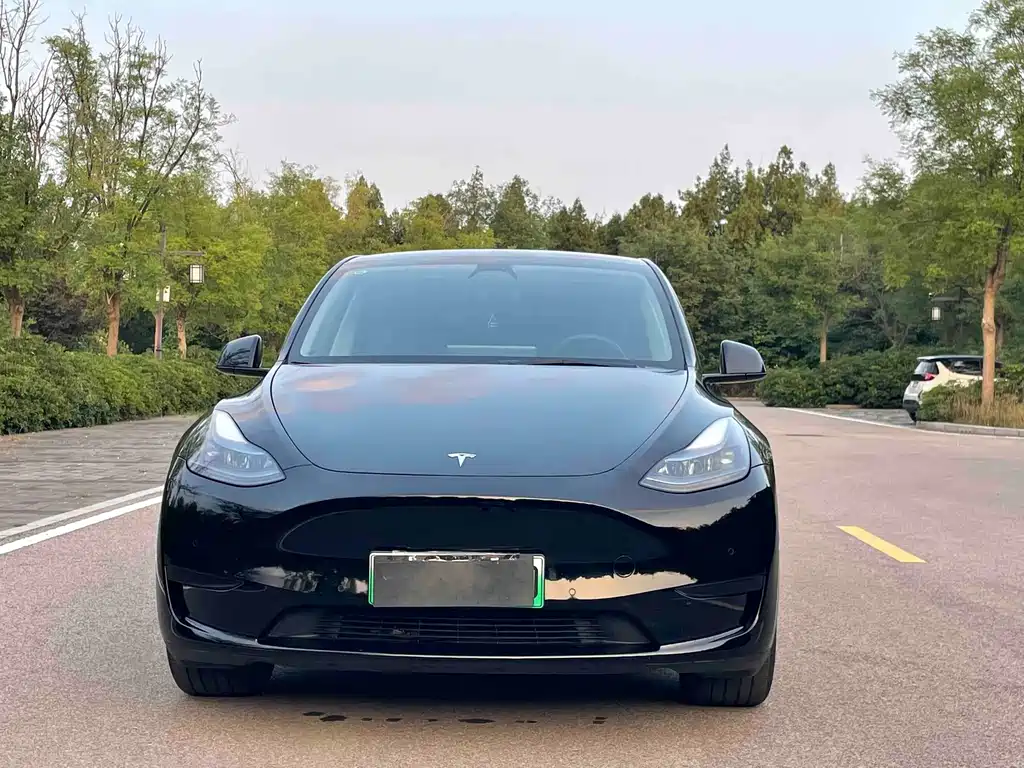 Tesla Model Y — миниатюра 2