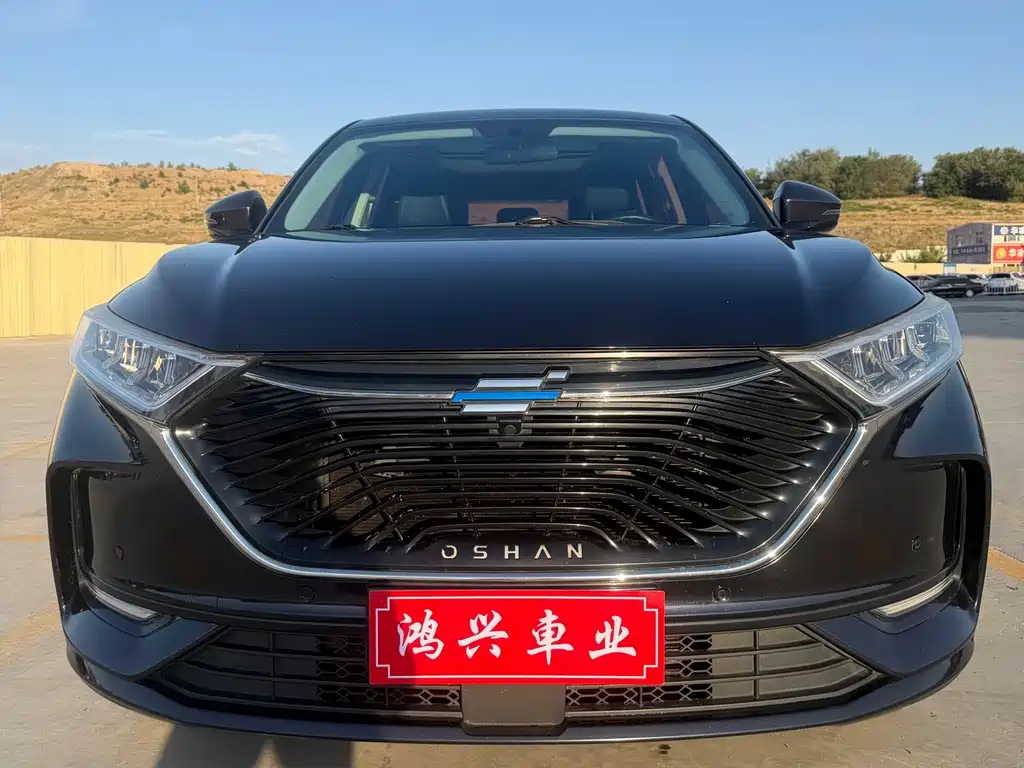 Oshan Oushang X7 — миниатюра 3