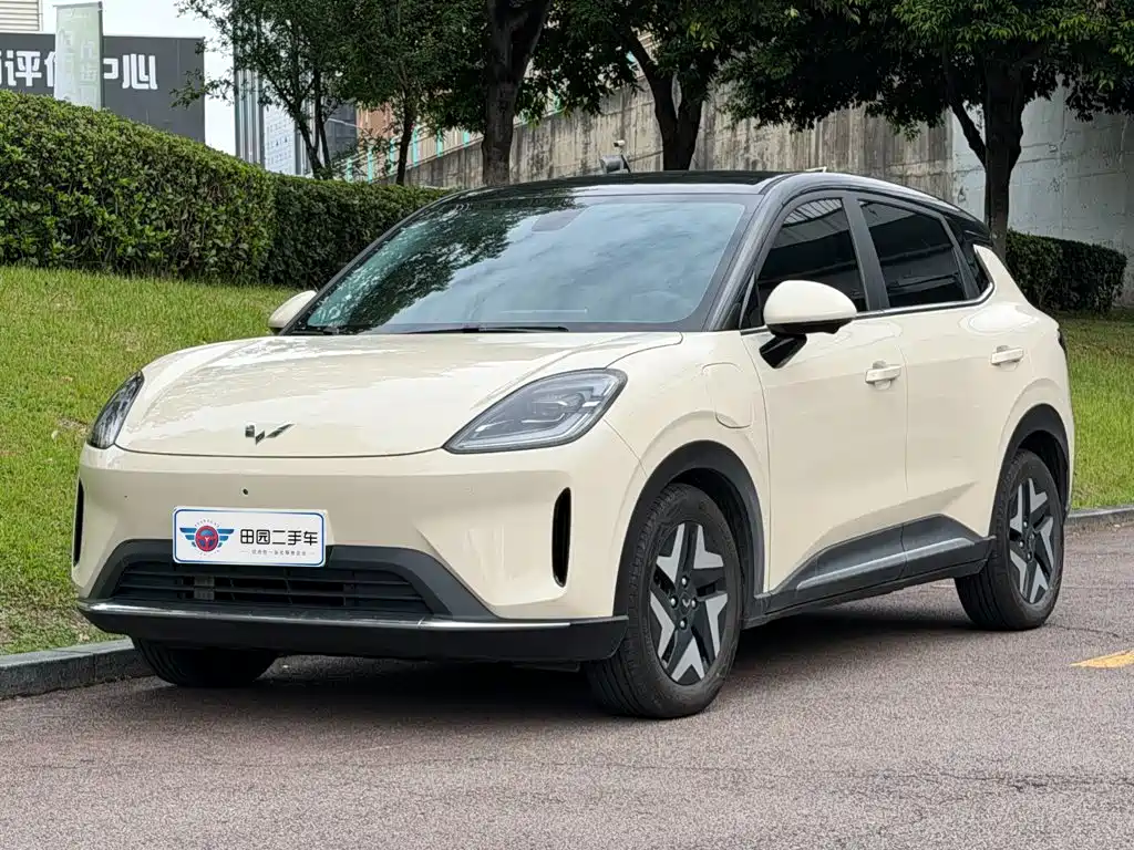 Wuling Bingo S