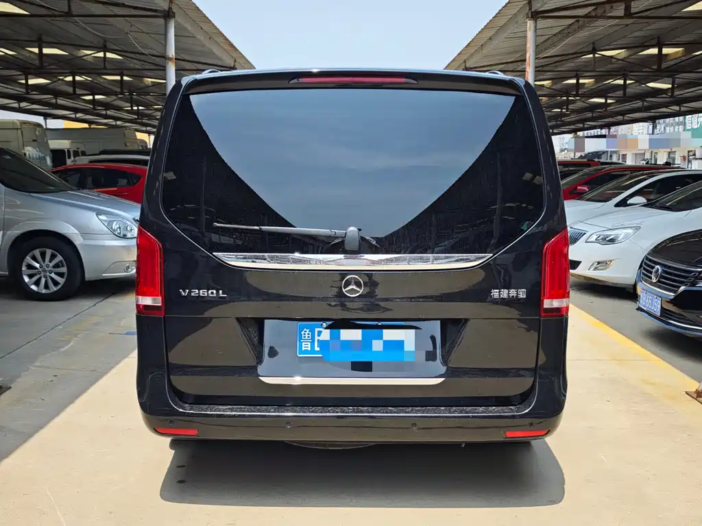 Mercedes-Benz V-Class V 260 L Long Wheelbase Premium Edition, фото 13