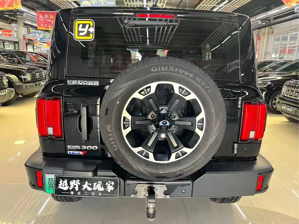 Tank Tank 300L New Energy — миниатюра 5