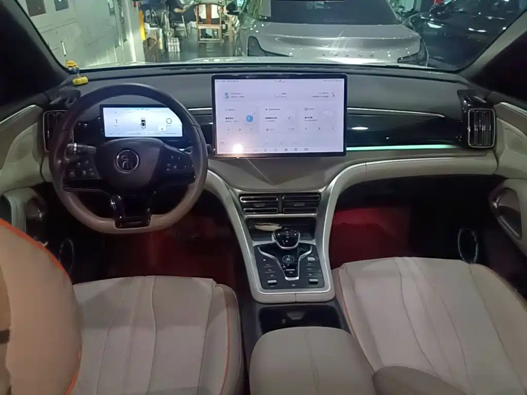 BYD Pro New Energy — миниатюра 10