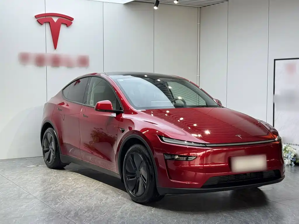 Tesla Model Y — миниатюра 4