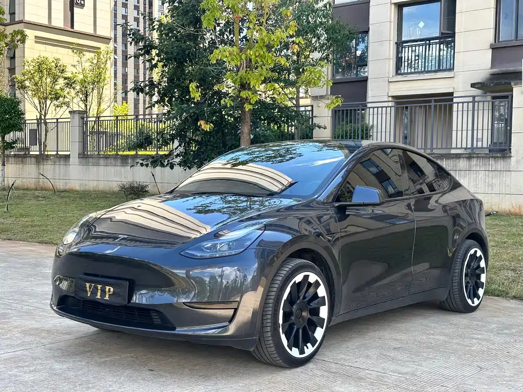 Tesla Model Y — миниатюра 3