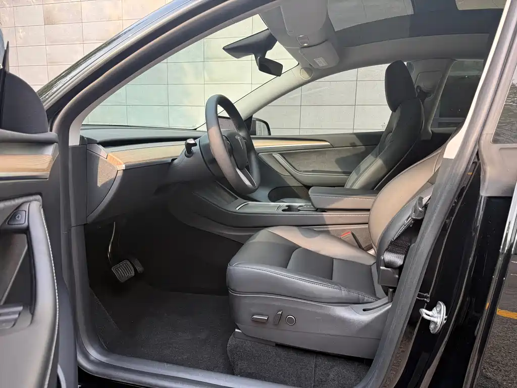 Tesla Model Y — миниатюра 8