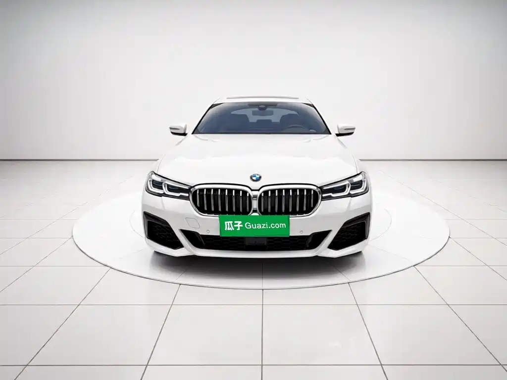 BMW 5 Series — миниатюра 23