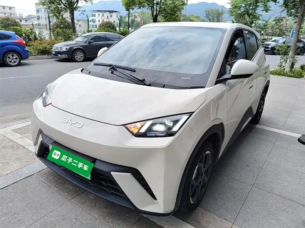 Byd Seagull 2024