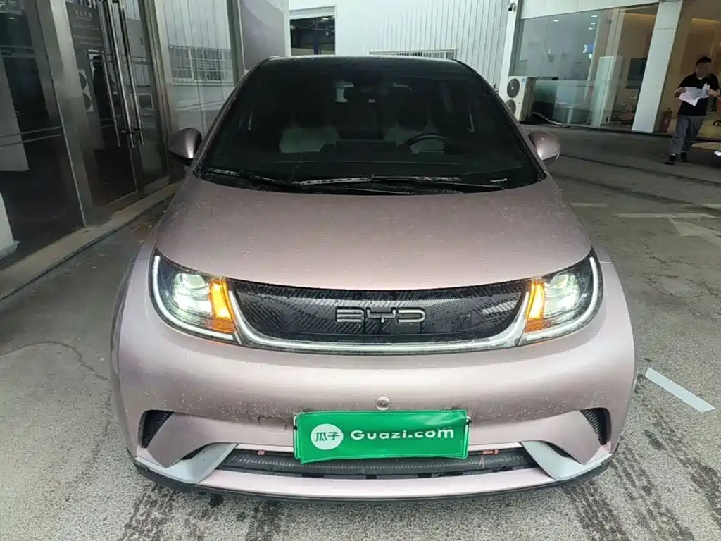 BYD Dolphin 2021 405km Fashion