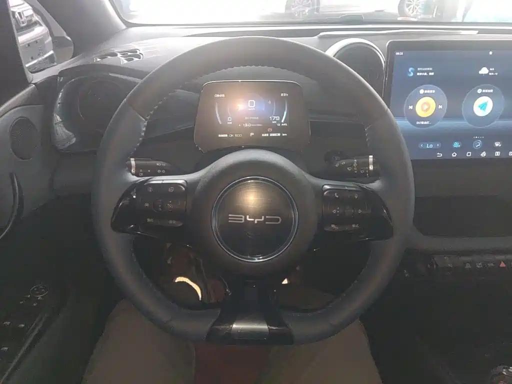 BYD Dolphin — миниатюра 7