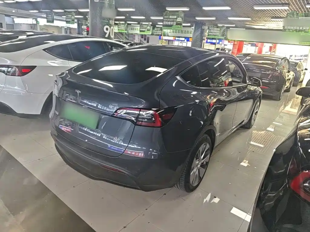 Tesla Model Y — миниатюра 7