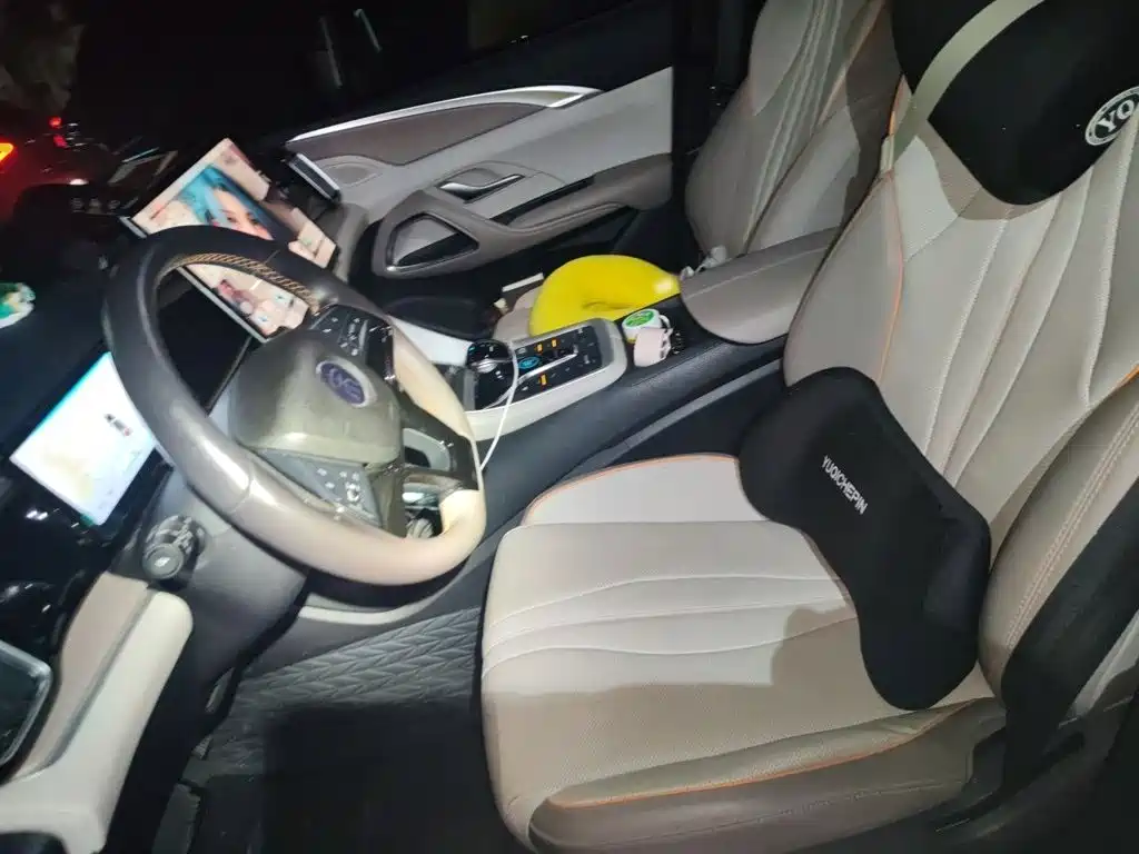 BYD Pro New Energy — миниатюра 8