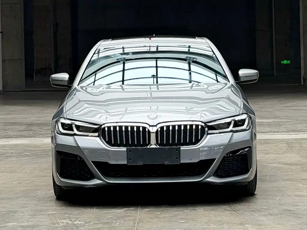 BMW 5 Series (Import) — миниатюра 3