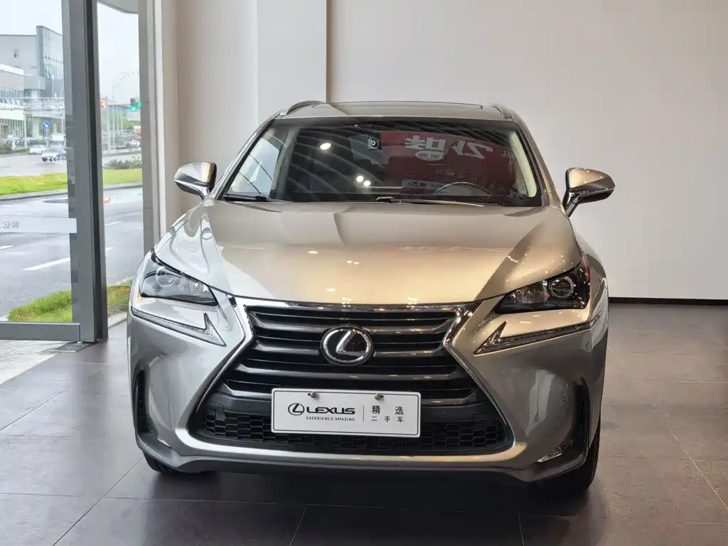 Lexus NX — миниатюра 2