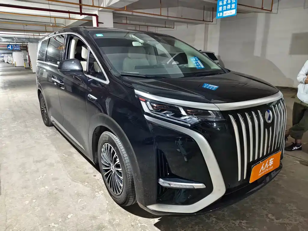 Denza Denza D9 — миниатюра 3