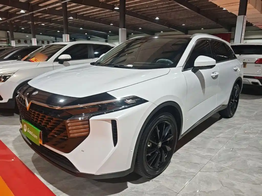 Venucia V — миниатюра 2