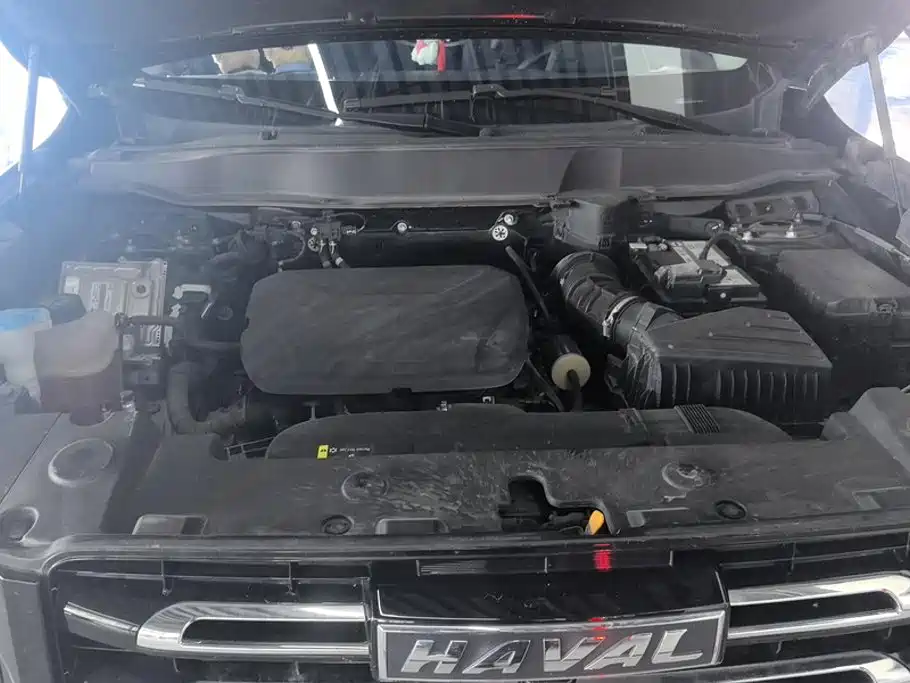 Haval Big Dog — миниатюра 10