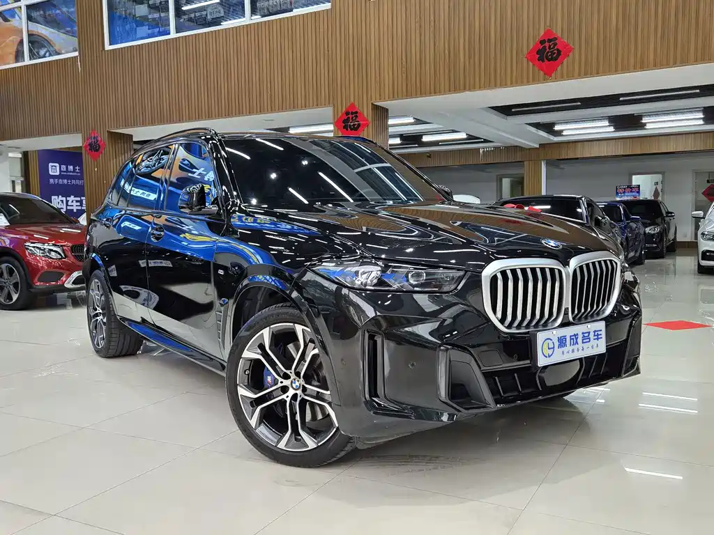 BMW X5 — миниатюра 2