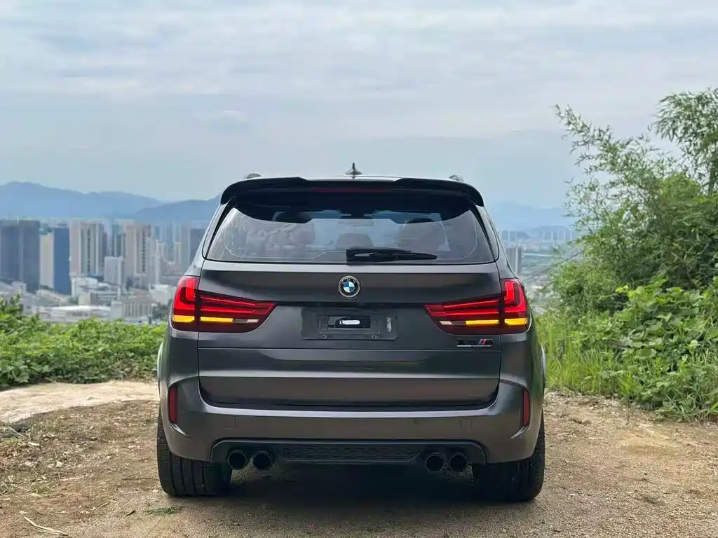 BMW X5 (Import) — миниатюра 18