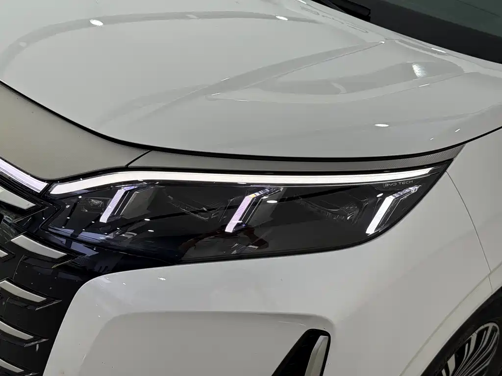 BYD Xia — миниатюра 3