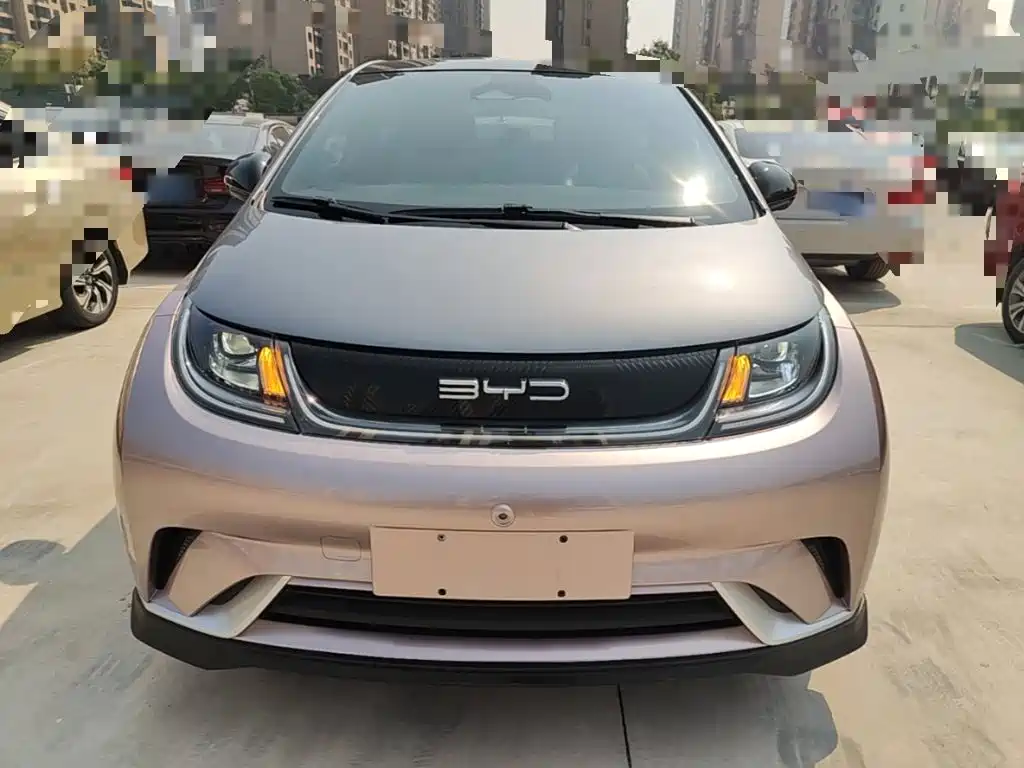 BYD Dolphin — миниатюра 3
