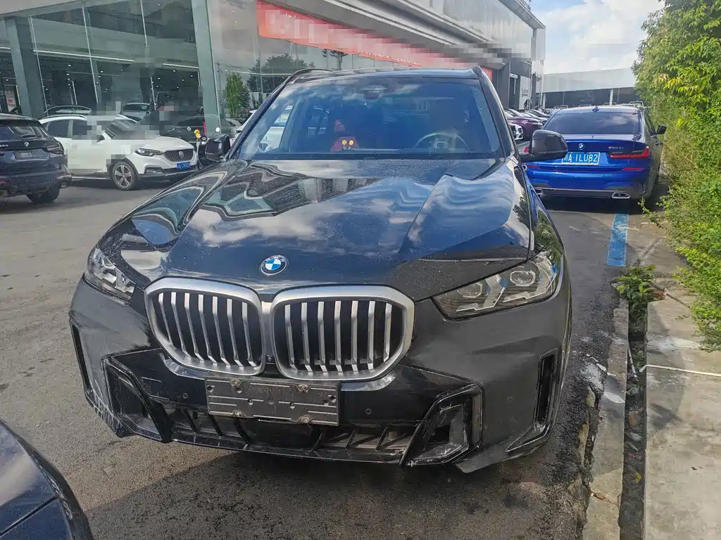 BMW X5 — миниатюра 2