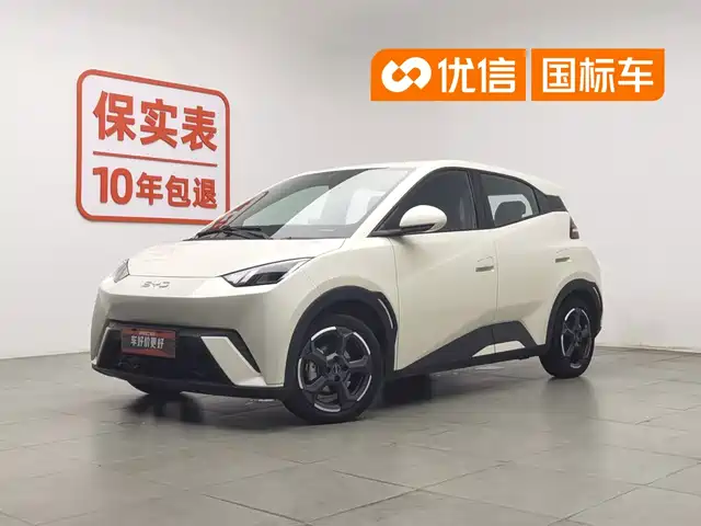 2023 BYD Seagull