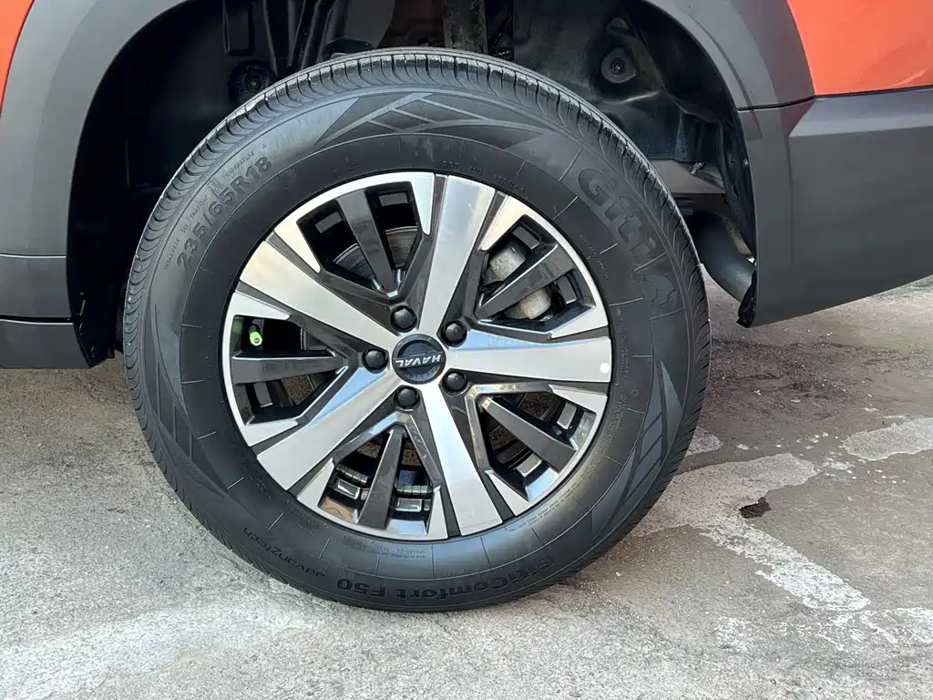 Haval Big Dog — миниатюра 20
