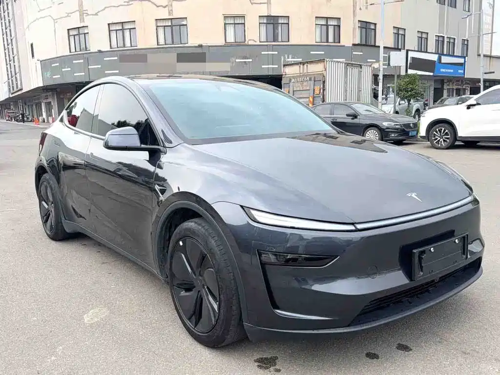 Tesla Model Y — миниатюра 4