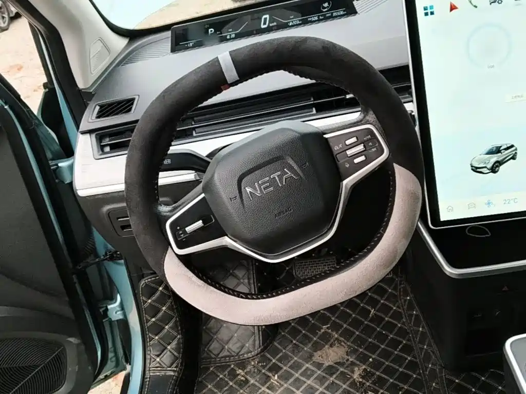 Neta Neta V — миниатюра 11