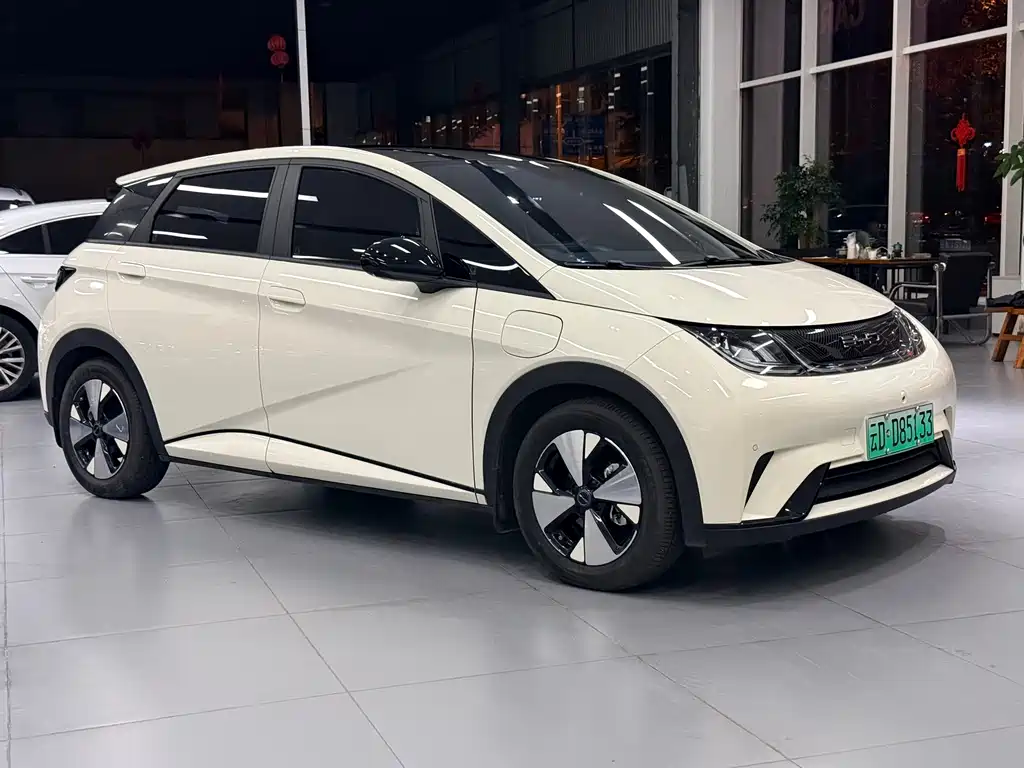 BYD Dolphin — миниатюра 3