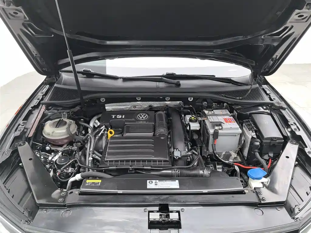 Volkswagen Magotan 2019 280TSI DSG Lead VI