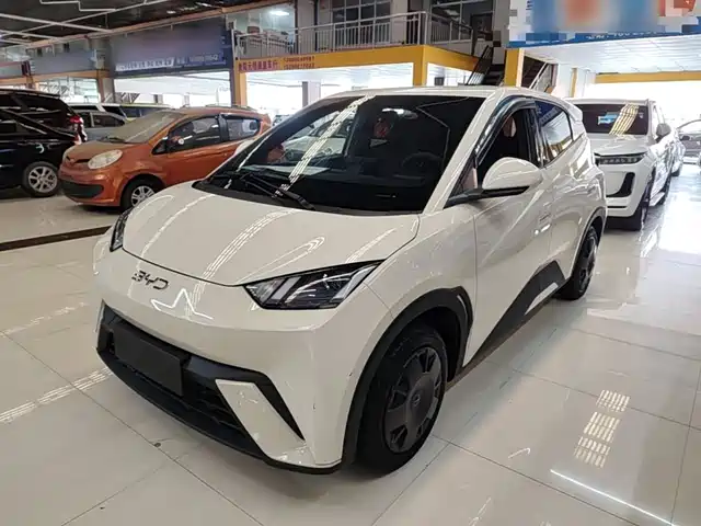 2024 BYD Seagull