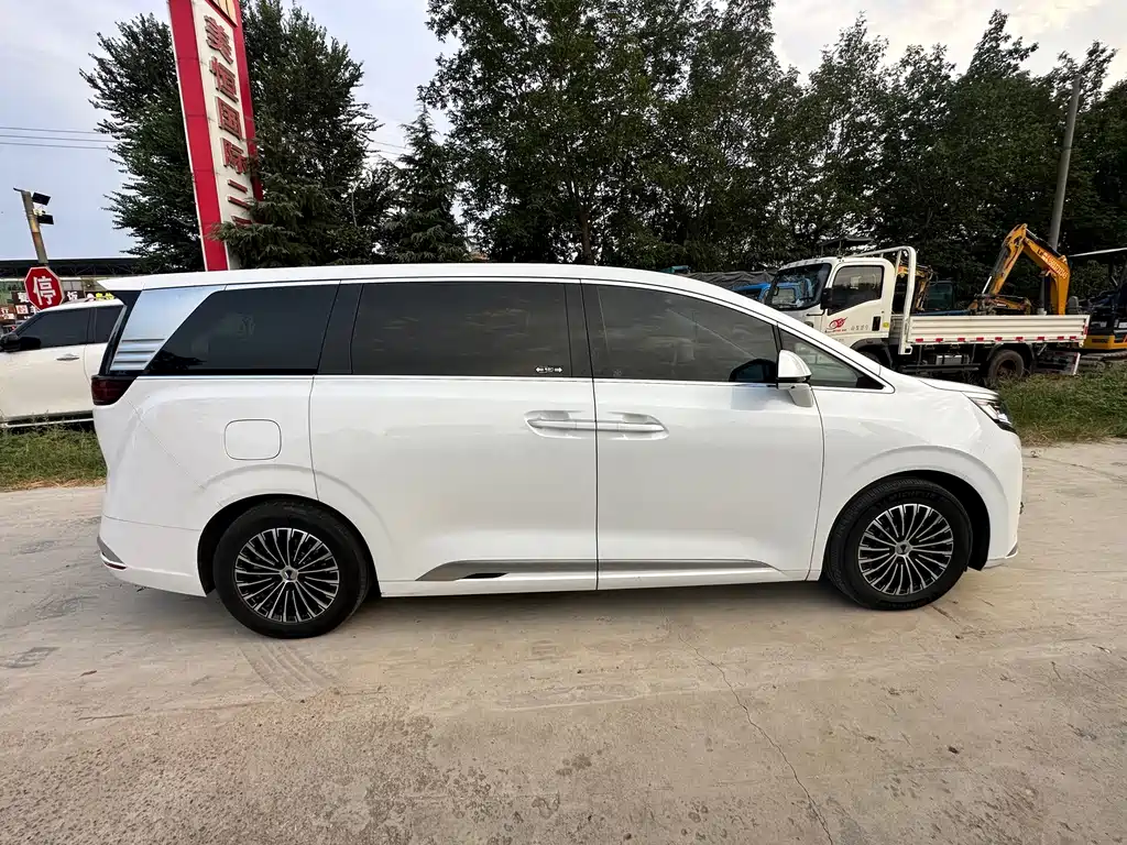 Denza Denza D9 — миниатюра 10