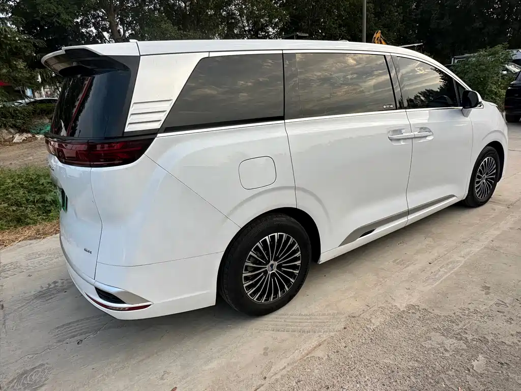 Denza Denza D9 — миниатюра 11