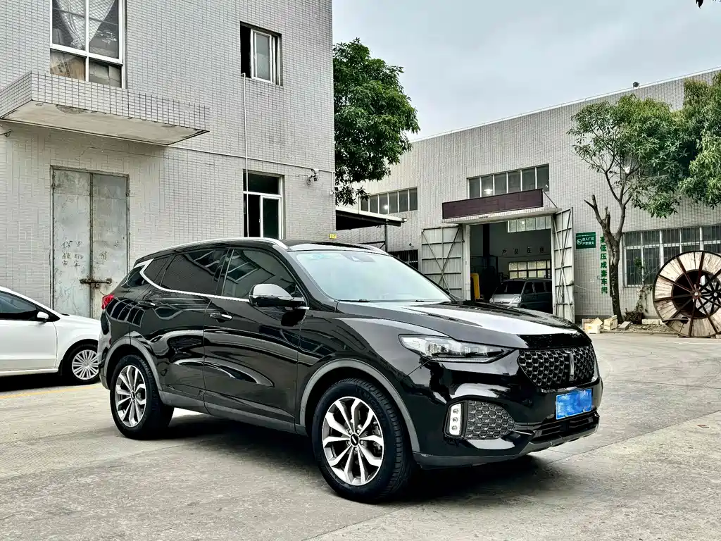 WEI PAI WEI BRAND VV6