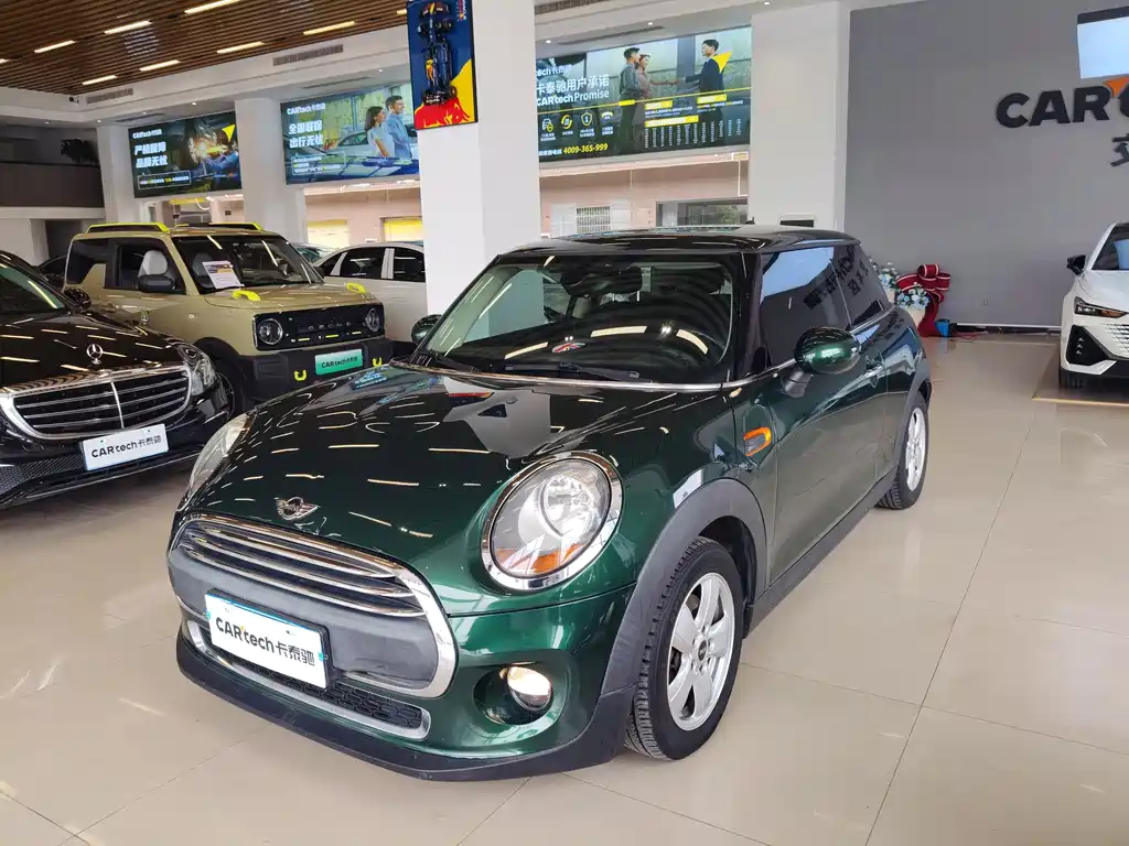 Mini Mini 2015