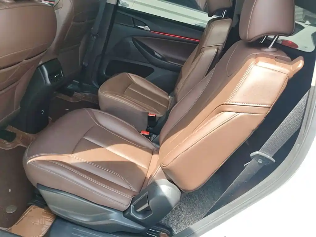 Buick GL6 — миниатюра 17