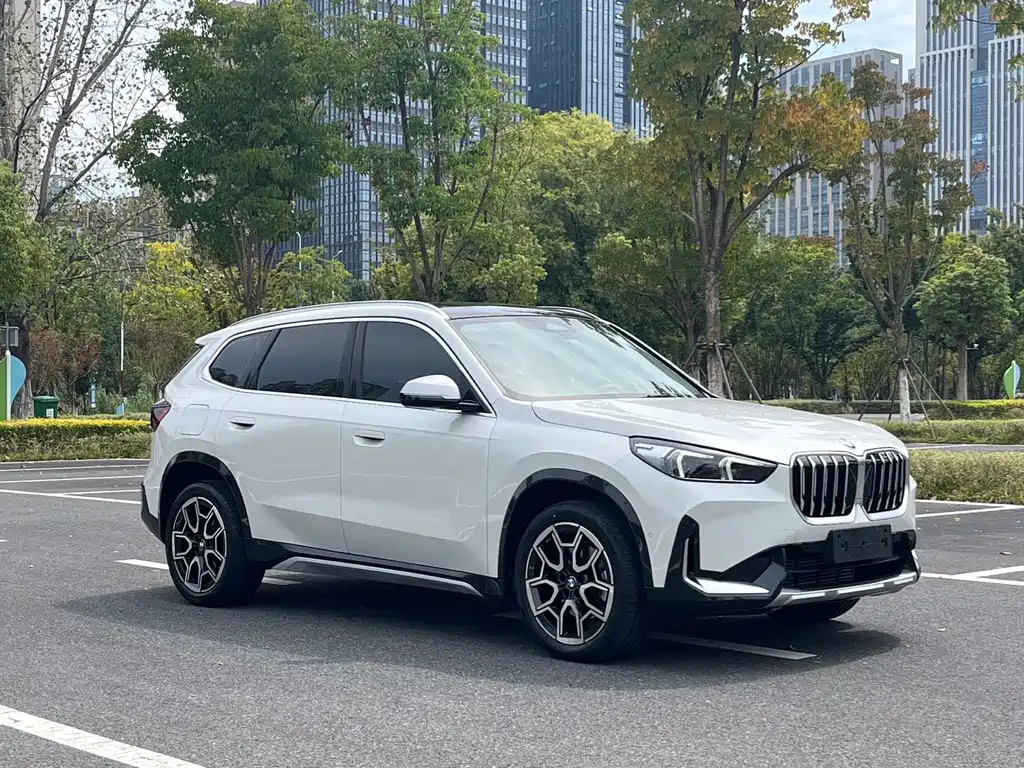 BMW X1 — миниатюра 3