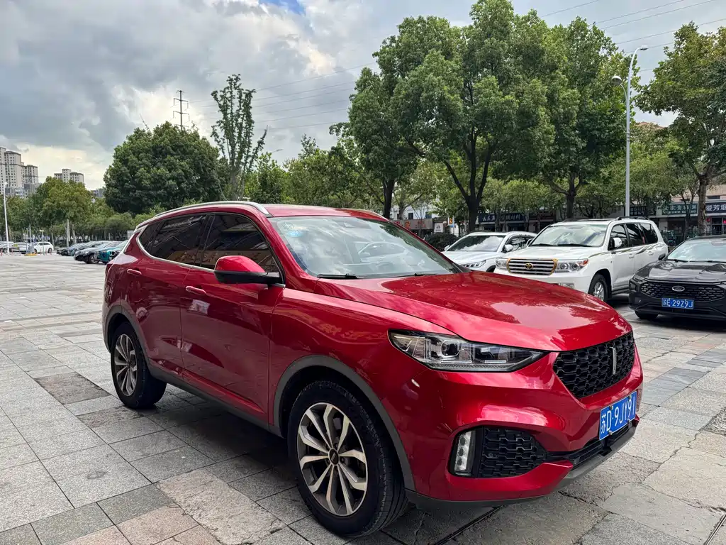 Wey Wey VV6 — миниатюра 3