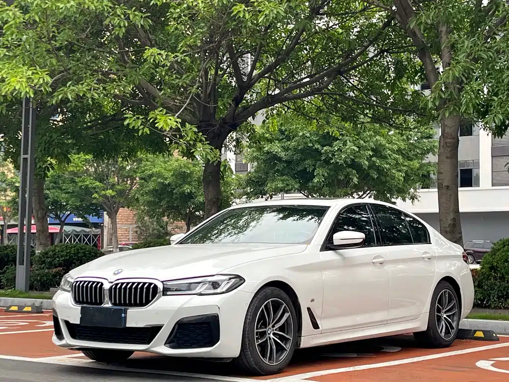 BMW 5 Series (Import) 2020